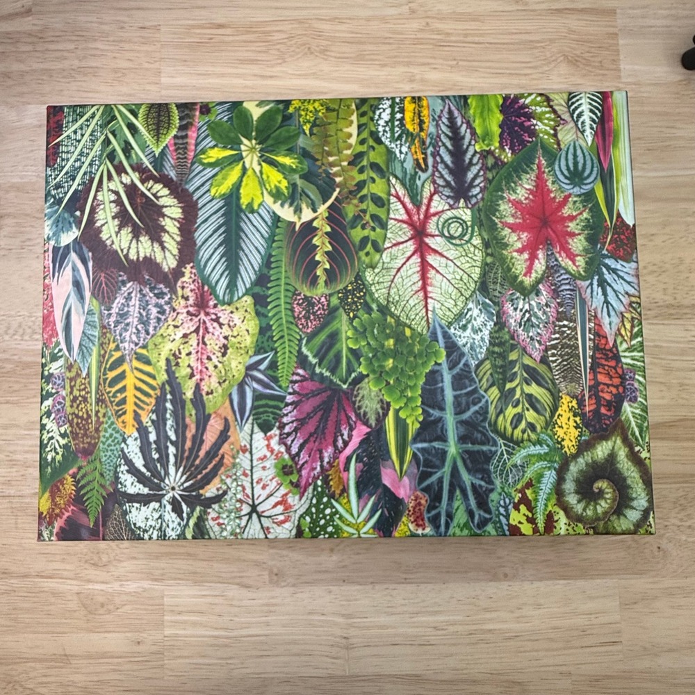 Galison Houseplant Jungle‎ 1000 Piece Jigsaw Puzzle Troy Litten Tropical Leaves